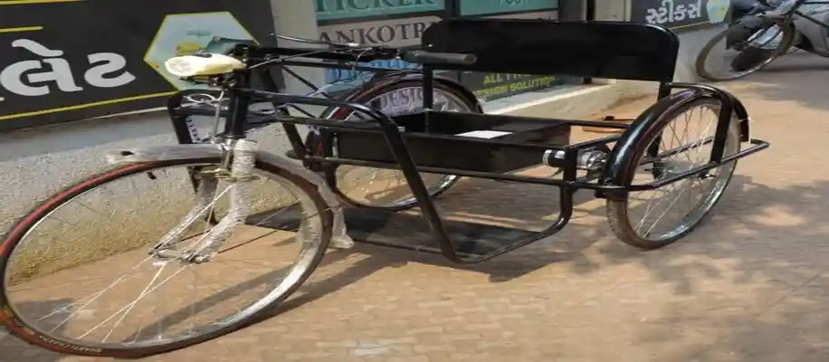 इलेक्ट्रिक रिक्शा पर्यावरण के अनुकूल और किफायती सफर_5830