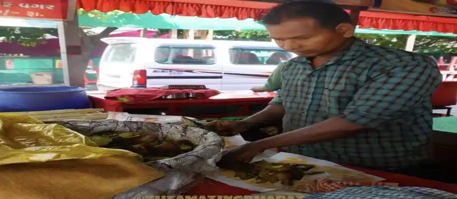 भिम भाई की मशहूर उम्बादियु – सर्दियों की खास पारंपरिक डिश_2724