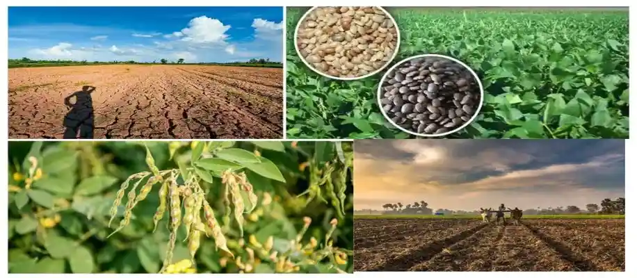 भारत में मौसम के अनुसार फसल चक्र_1736