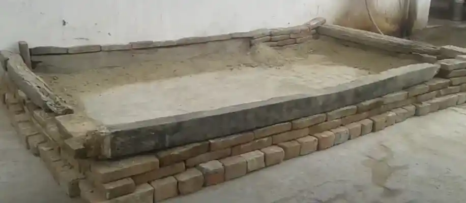 अजोला की खेती: किसानों के लिए वरदान_9052