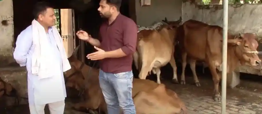 घर पर डेयरी व्यवसाय: 6 गायों से हर महीने 35,000 रुपये कमाने वाले किसान की कहानी_5078