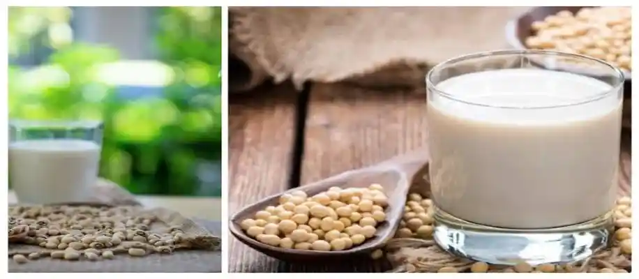 सोया मिल्क का निर्माण और बढ़ती मांग का कारण_9696