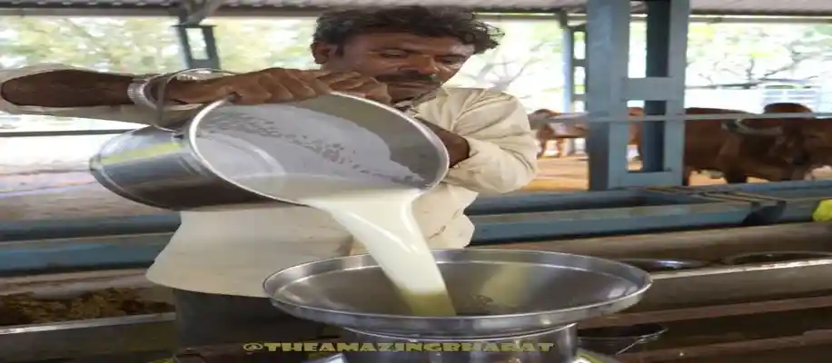 गोबर से बना घर और शुद्ध घी का कारखाना_8002