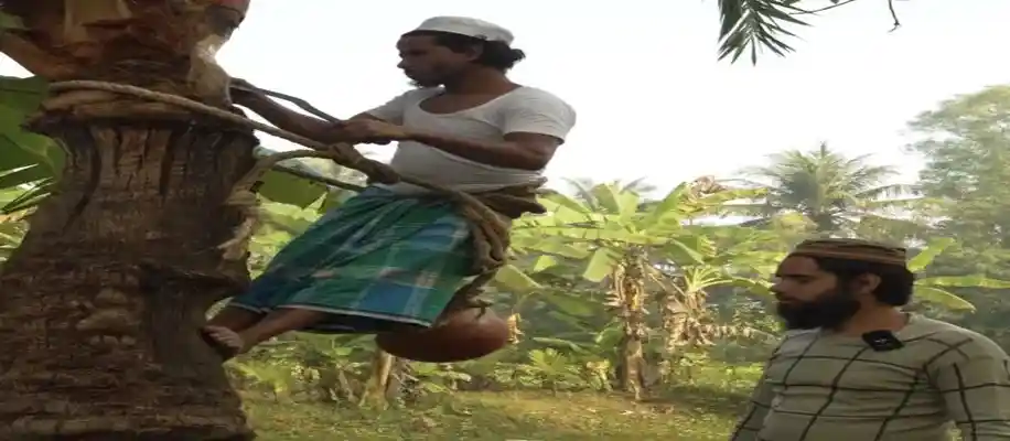 ज़मीर खान - पेड़ से निकलने वाले रस से मिठाई बनाने वाले_7215