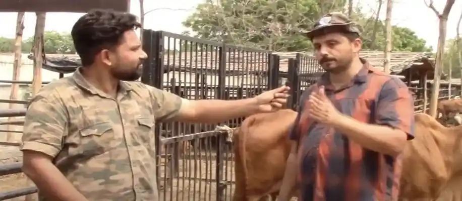 आर्टिफिशियल इंसैमिनेशन (AI) बनाम प्राकृतिक प्रजनन – कौन सा बेहतर है?_1261
