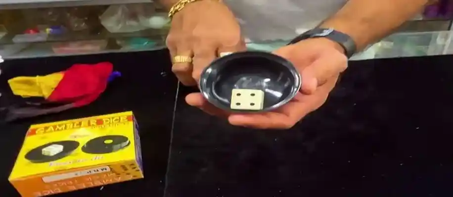 प्रताप पटेल: जादू और ज्ञान का संगम_5519