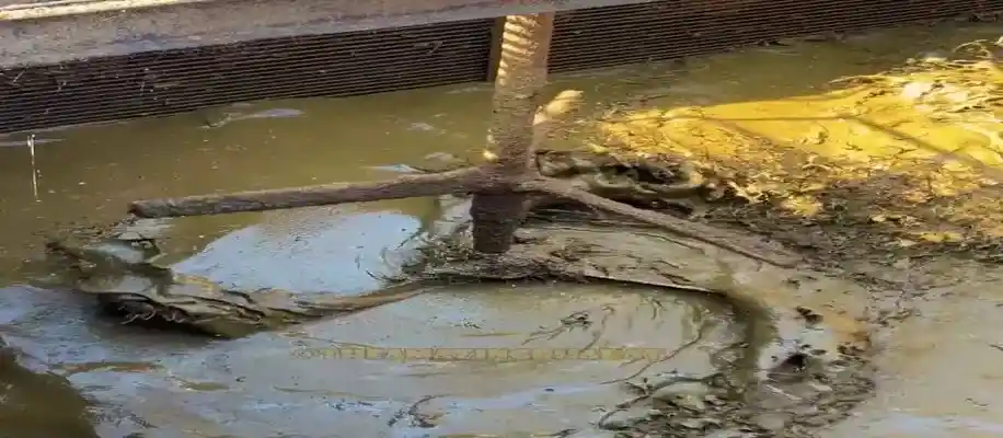 गोबर और सब्जियों से बन रही गाड़ियों की गैस_1045