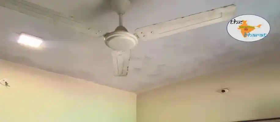 कचरे से बनी गैस और बिजली_7547