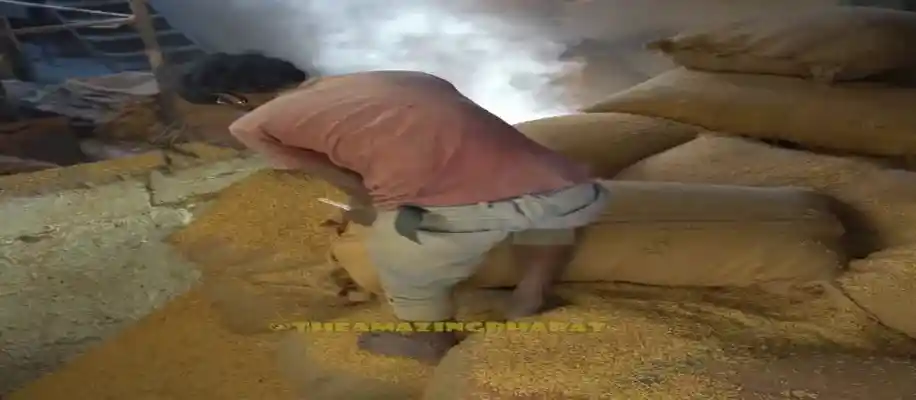 धन से बेहतरीन पोहा बनाने की कला_8071