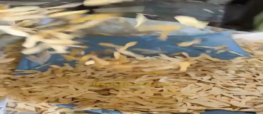 लकड़ी से बनने वाली इको-फ्रेंडली चम्मचों का हाई-टेक सफर_6809