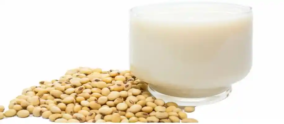 सोया मिल्क और टोफू (सोया पनीर): क्या ये सच में दूध और पनीर हैं?_7607
