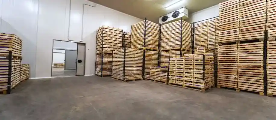 Importance of cold storage