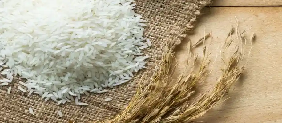 ethanol production from rice how