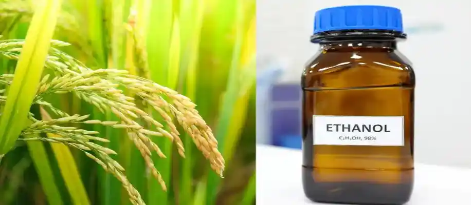 ethanol production from rice in india