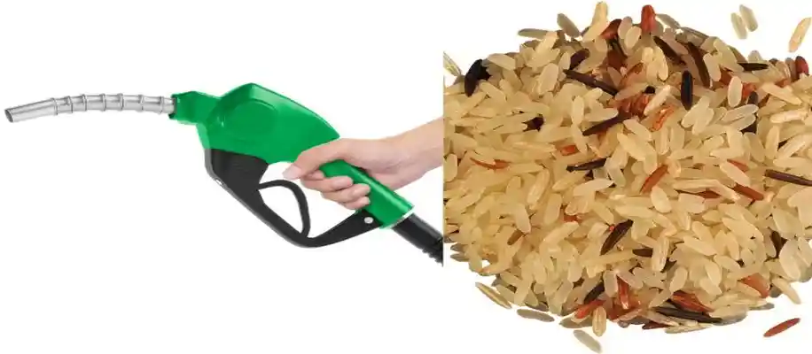 how to make ethanol from rice waste
