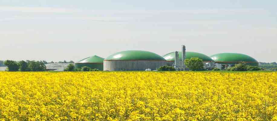 Organic Farming in india produce methane