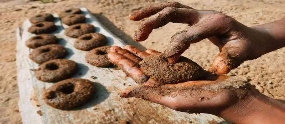Top 5 Business Ideas for Village cow dung
