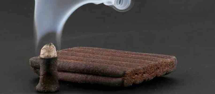 Top 5 Business Ideas for Village dhoop bhati