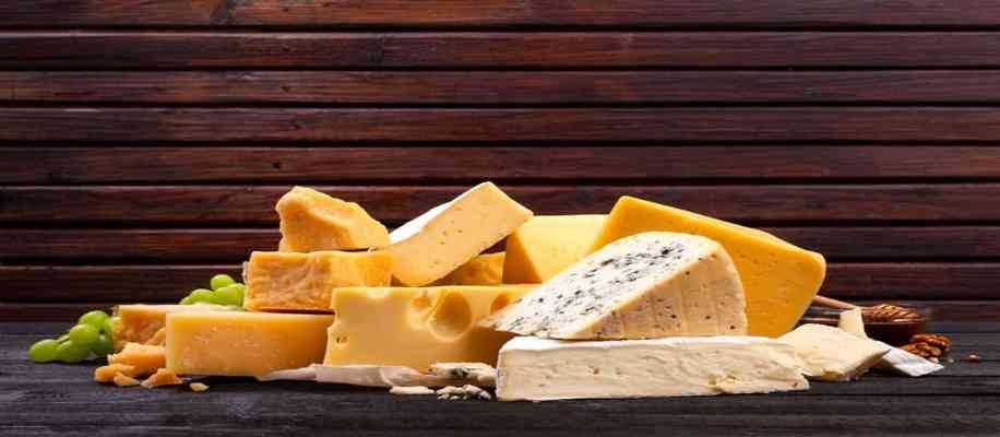 types of cheese blue cheese