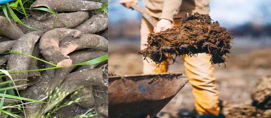 How is horn manure made