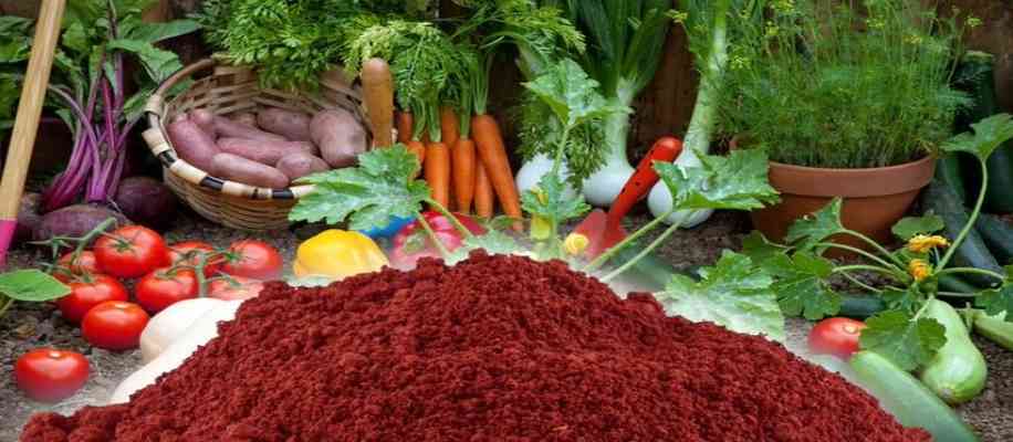Blood Meal Fertilizer