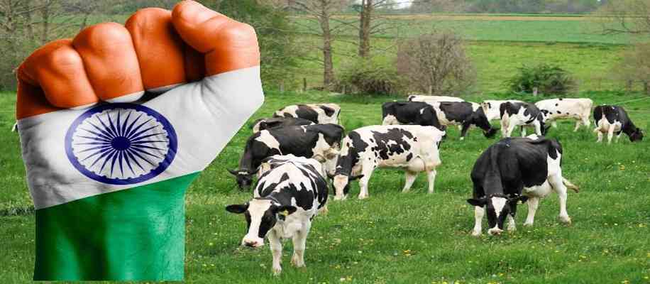 white revolution in india after independence