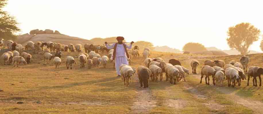 1947 farmers in india