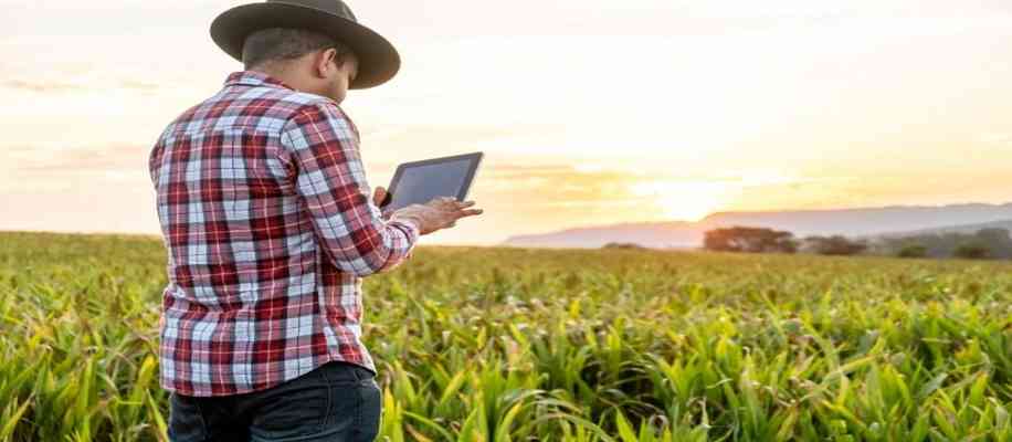 Minimum Support Price for farmers 