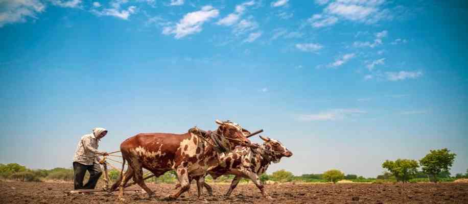 Blockchain technology benefits for farmer