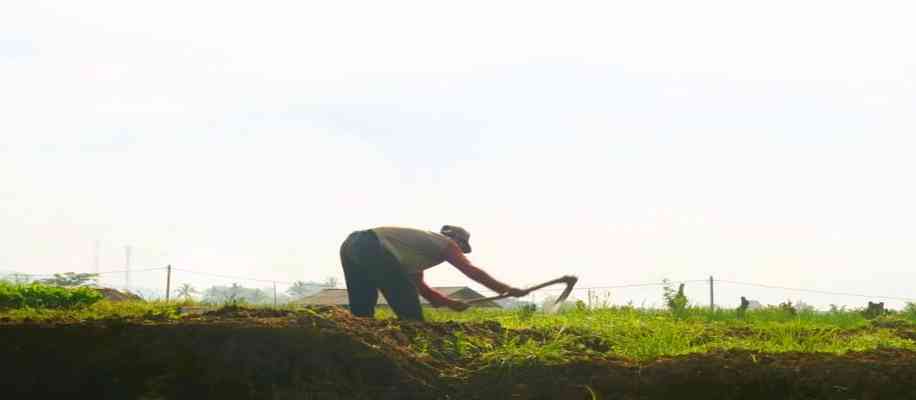 farmer problems in india