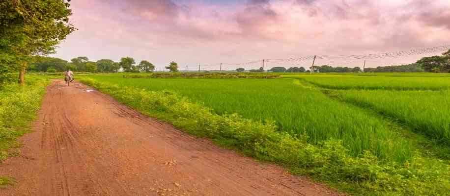 Farming techniques in India