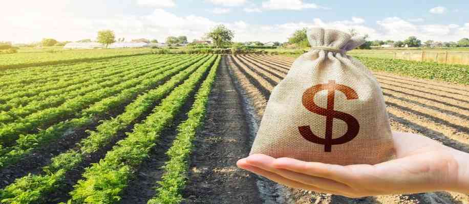 battle for earning from agriculture: China or India