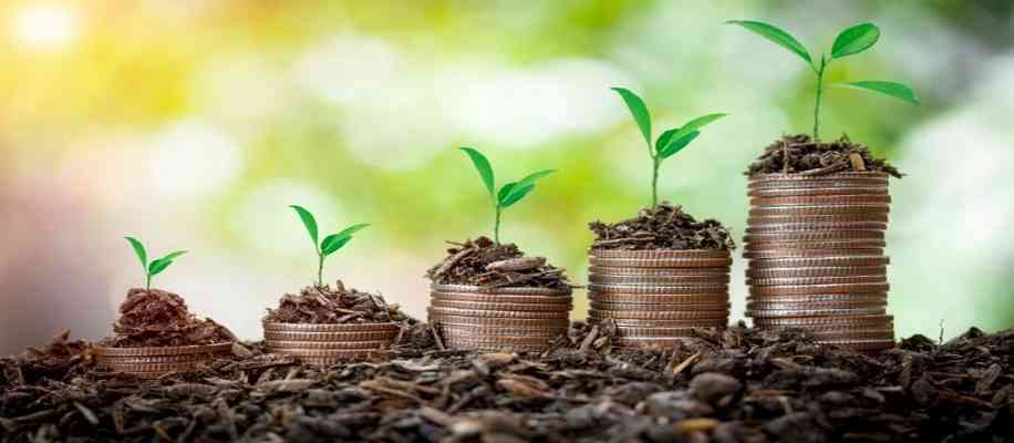 Farming profitability India vs China