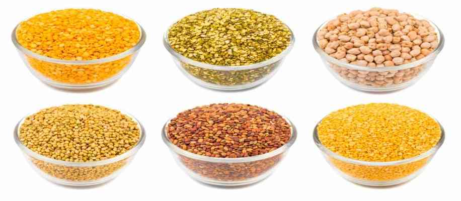 protein crops future crops