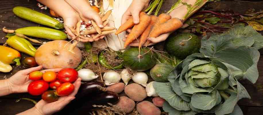 Organic Farming in India