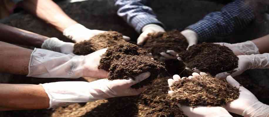  benefits of Organic Farming
