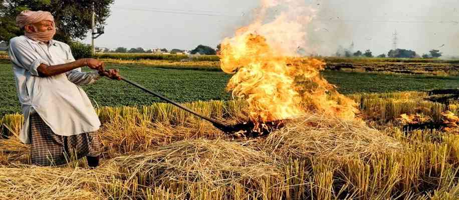Do not burn stubble – make fertilizer and income from it