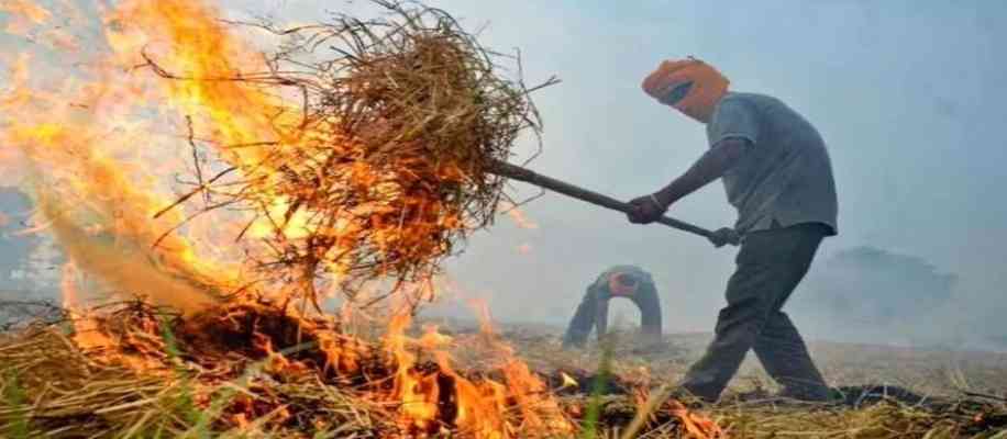 farmer income from stubble