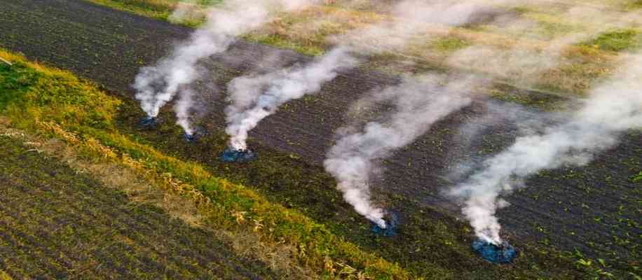 making fertilizer from stubble