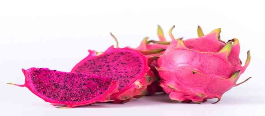 future crop dragon fruit