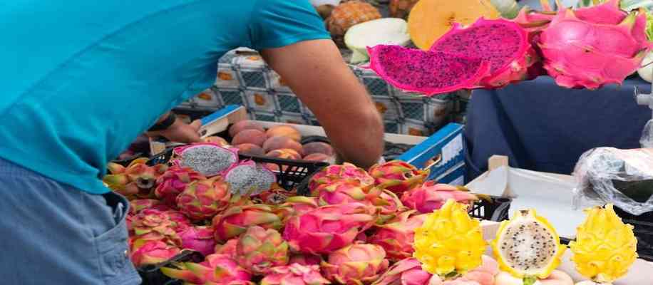 exotic fruits farming in india