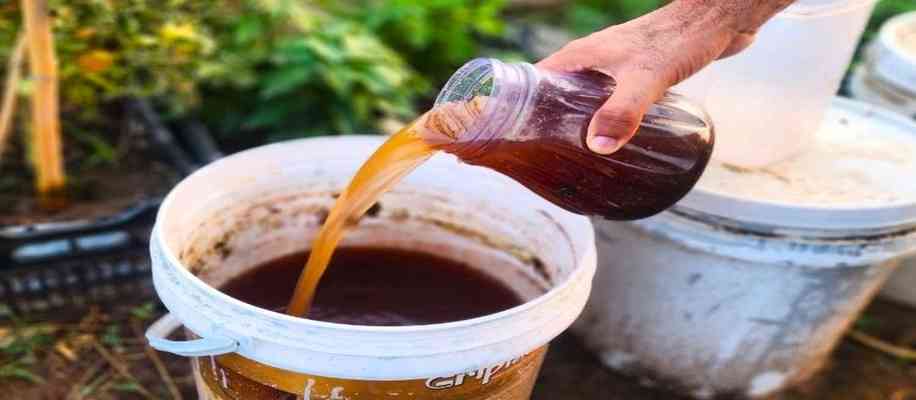 Benefits of organic fertilizer