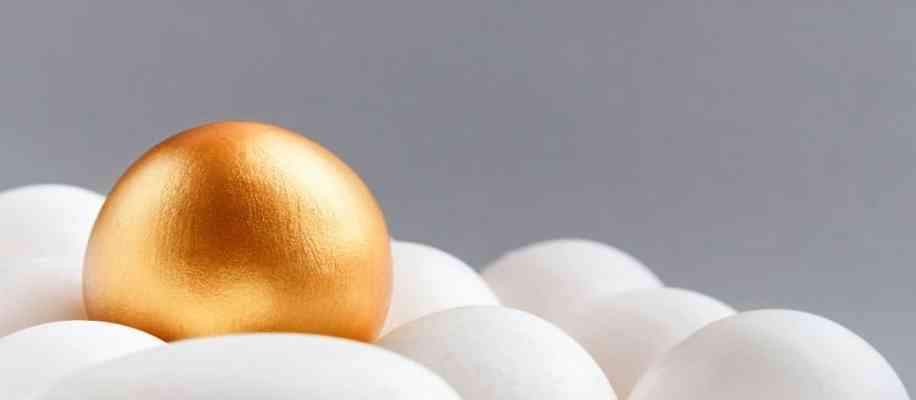 biggest egg in the world