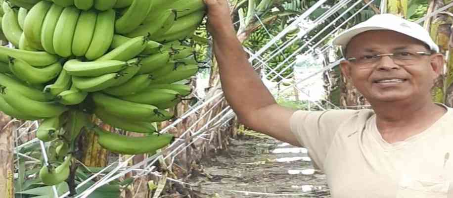  Ram Sharan Verma Agriculture in uttar pradesh