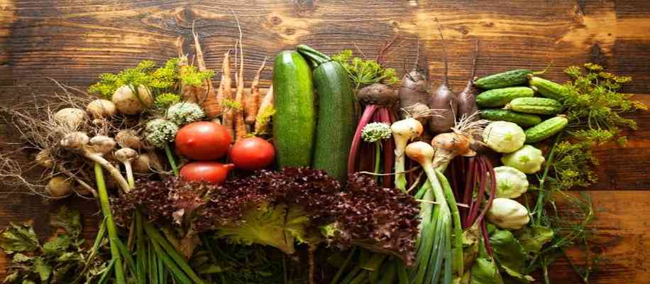created history through organic farming