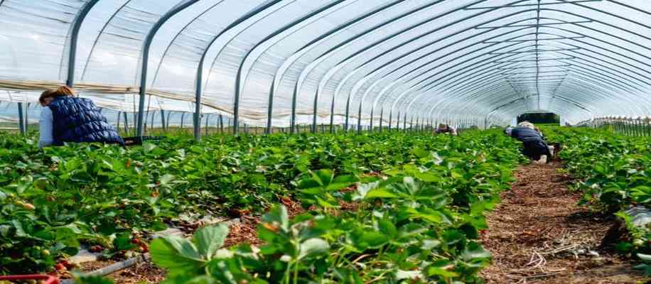 benefits of organic farming