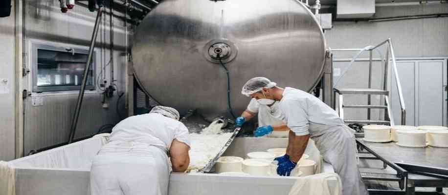 Organic Milk India