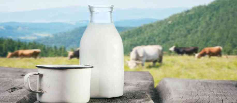  Where to get pure milk