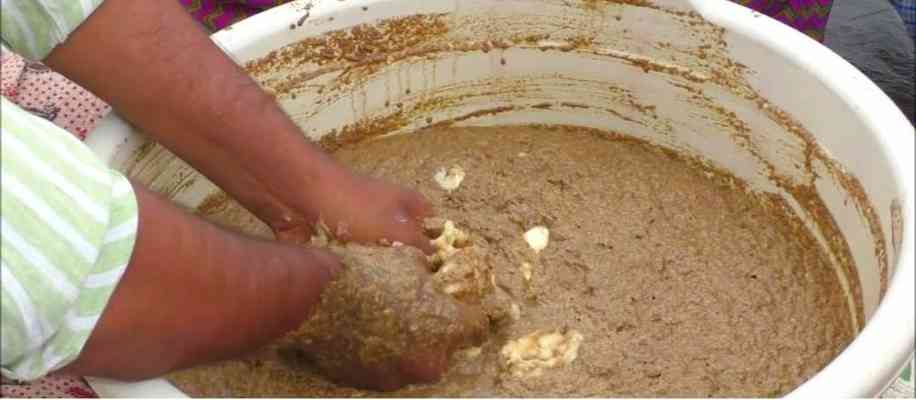 Method of making Panchgavya
