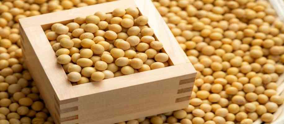 impact of US tariffs on Indian agriculture